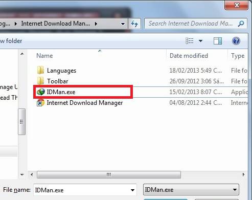 Idm 6.21 Build 19 Crack File
