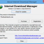 IDM 6.23 build 11 Full Crack