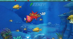 Tải game cá lớn nuốt cá bé Feeding Freenzy 1, 2 Full