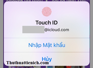 Nhập mật khẩu tài khoản Apple ID hoặc Touch ID