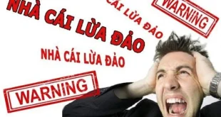 Nhà cái ST666 lừa đảo? Sự thật phía sau ít ai biết