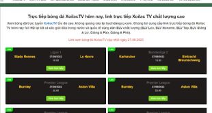 Xoilac TV bachdangco.com - Kênh trực tiếp bóng đá chất lượng cao không quảng cáo