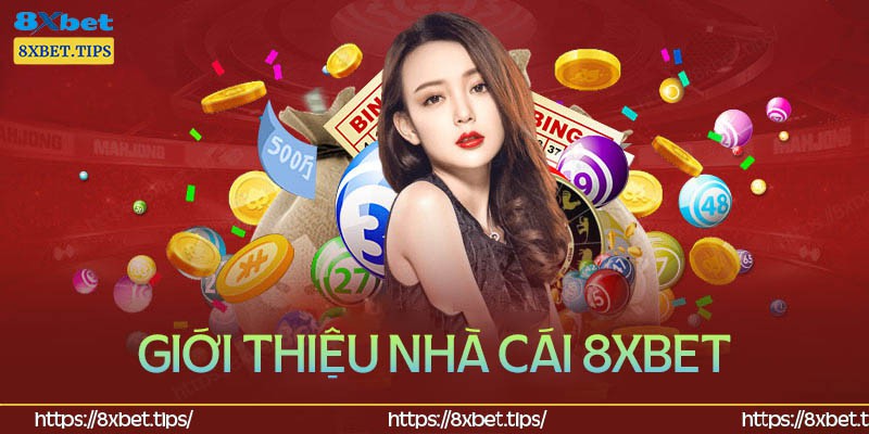 Nhà cái 8XBet – Sân chơi uy tín hàng đầu hiện nay