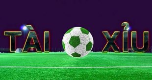 Tài Xỉu 2 trái là gì? Hướng dẫn cách cá cược Tài Xỉu 2 trái