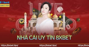 Nhà cái 8XBet – Sân chơi uy tín hàng đầu hiện nay