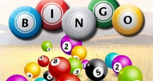 Cách nuôi lô khung 7 ngày bất bại - Bí quyết và kinh nghiệm hay