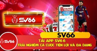 Review Sv66 - Nhà cái thành công trong việc chuyển đổi số