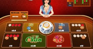 Xóc Đĩa 3D Sbty - Sân Chơi Cá Cược Kịch Tính Và Hấp Dẫn