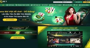 Cá Độ Đá Gà V9bet - Trường Đấu Gay Cấn, Hấp Dẫn