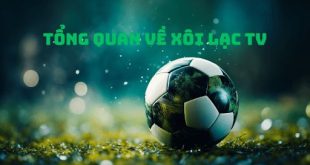 Tổng quan về địa điểm trực tiếp bóng đá Xoilac TV siêu hot