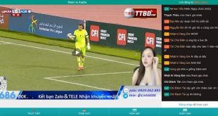 Saoke TV mang trải nghiệm xem bóng đá trực tiếp hoàn mỹ trong Năm 2024