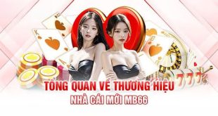 Tại Sao Mb66 Là Trang Web Cá Cược Trực Tuyến Đáng Tham Gia?