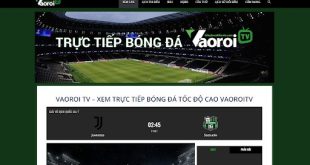Xem bóng đá trực tuyến miễn phí 100% trên website vaoroi.art
