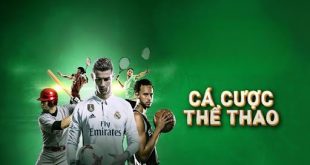 Tìm Hiểu Cách Phân Tích Tỷ Lệ Cá Cược Thể Thao Hiệu Quả