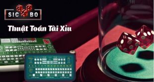 Khám phá bí quyết của hàm random – Lập trình tài xỉu thế nào