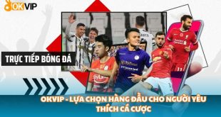 OKVIP - Lựa chọn hàng đầu cho người yêu thích cá cược