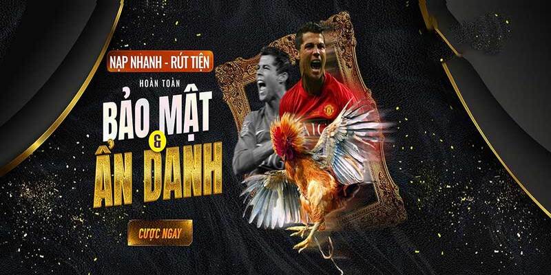 Alo789 - Web Trực Tiếp Cá Cược Đá Gà Hàng Đầu Châu Á 2024