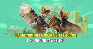 Đá Gà 79King - Những Cuộc Tranh Tài Khủng Của Chiến Kê