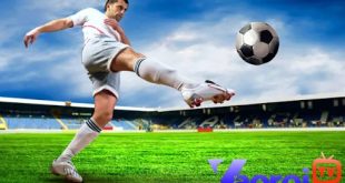 Khám Phá Sức Hút Mạnh Mẽ Của Xoilac TV Tại Link Xoilac-tv.shop