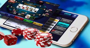 Hướng Dẫn Tải App Ku11 Nhanh Chóng Tiện Lợi Nhất 2024