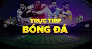 Xem bóng đá online HD: Trải nghiệm sân cỏ tuyệt vời tại nhà