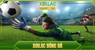 Xoilac TV - Kênh phát sóng bóng đá chuẩn mực, thống trị thị trường