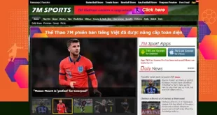 7msport.store: Giới thiệu trang web cập nhật tỷ số bóng đá 7msport