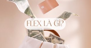Flex là gì?
