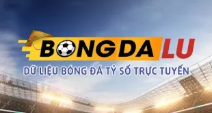 Bongdalu-vip.net: Cùng Bong da lu cập nhật tỷ số bóng đá hôm nay
