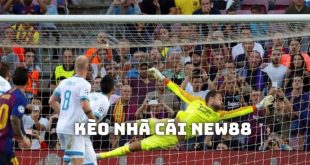 Tìm hiểu về bảng kèo nhà cái tại New88