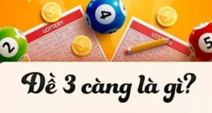 Đề 3 Càng Là Gì? Mách Bạn Cách Đánh Đề 3 Càng Phổ Biến