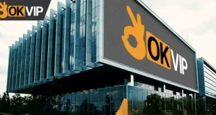 OKVIP - Tập đoàn liên minh nhà cái uy tín hàng đầu Việt Nam