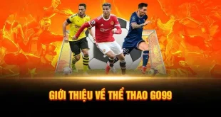Thể Thao Go99 - Trải Nghiệm Không Gian Cá Cược Hoàn Hảo Nhất
