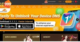 Hướng dẫn Tải App DF999 về điện thoại