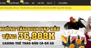 Giới thiệu nhà cái Bong789: Cổng game cá cược uy tín hàng đầu Việt Nam