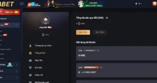 Học Cách Rút Tiền K8 Bet Nhanh Gọn Chỉ Với 1 Vài Thao Tác