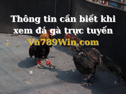 Cách Chọn Tướng Gà Đá: Bí Quyết Giúp Cược Thủ Chinh Phục Mọi Trận Đấu