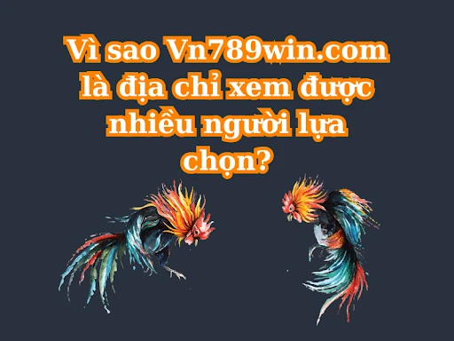 Cách Chọn Tướng Gà Đá: Bí Quyết Giúp Cược Thủ Chinh Phục Mọi Trận Đấu