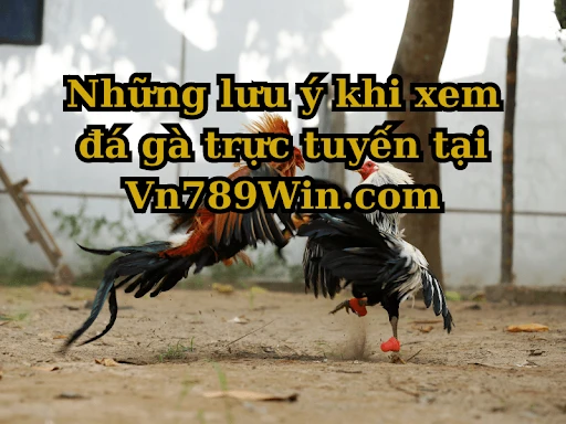 Cách Chọn Tướng Gà Đá: Bí Quyết Giúp Cược Thủ Chinh Phục Mọi Trận Đấu