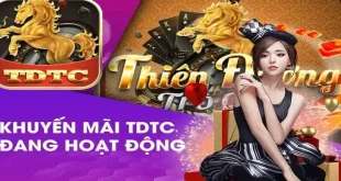 Cập Nhật Hệ Thống Khuyến Mãi TDTC Hot Nhất Cho Hội Viên