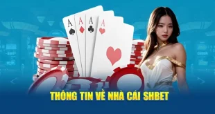 Nhà Cái SHBET - Nền Tảng Cá Cược Đẳng Cấp Nhất 2024