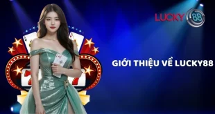 Lucky88: Nhà Cái Cược Đỉnh Cao 2024