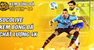 Socolive - Trang Trực Tiếp Bóng Đá Uy Tín, Đẳng Cấp Quốc Tế