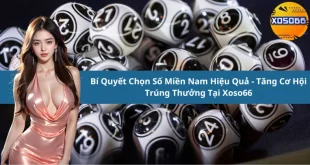 Bí Quyết Chọn Số Miền Nam Hiệu Quả - Tăng Cơ Hội Trúng Thưởng Tại Xoso66