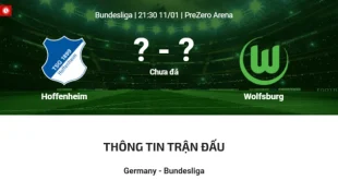 Phân tích trận đấu Hoffenheim vs Wolfsburg 11/1/2025 - Ai sẽ thắng?