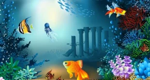 Bắn Cá Thủy Cung - Game Bắn Cá Đổi Thưởng Hot Nhất 2025