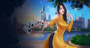 Game Bài VIN88 - Cổng Giải Trí Online Hấp Dẫn Người Chơi