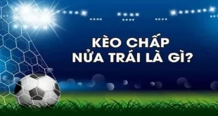 Kèo Chấp Nửa Trái Là Gì? Hướng Dẫn Cách Đọc Chuẩn Xác