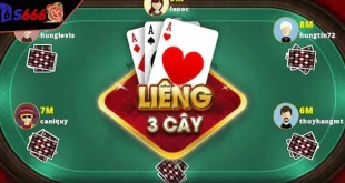 Bài Liêng online là gì? Quy luật chơi cơ bản cho tân thủ