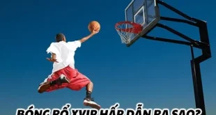 Bóng Rổ Xvip | Kịch Tính, Hấp Dẫn, Đầy Sôi Động